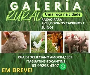 Galeria rural