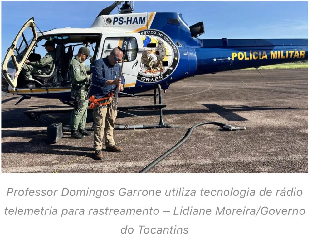 Governo do Tocantins realiza primeiro monitoramento aéreo de arraias-maçã nos rios Tocantins e Araguaia