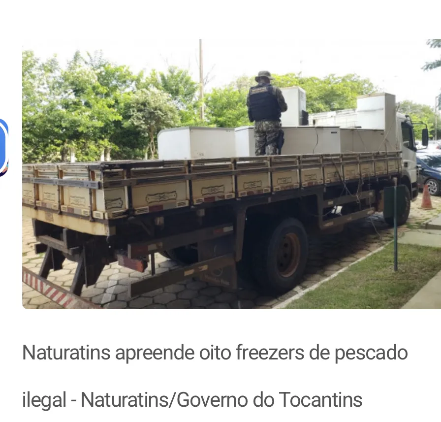 Naturatins apreende mais de 2 toneladas de pescado durante operação no Tocantins 