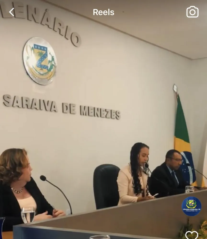 COMPOSIÇÃO DA CÂMARA MUNICIPAL DE ITAGUATINS: UM REFLEXO DA VONTADE POPULAR