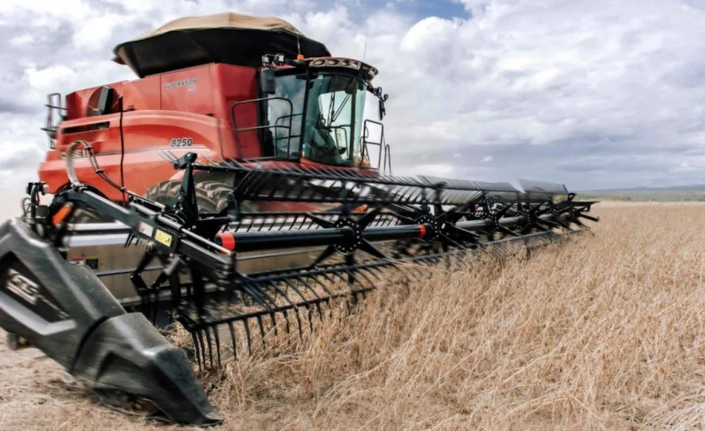 TOCANTINS UMA SAFRA RECORDE 