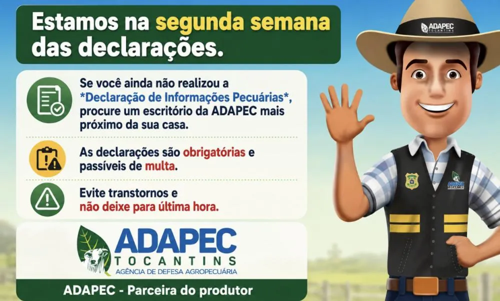 Foto divulgação 