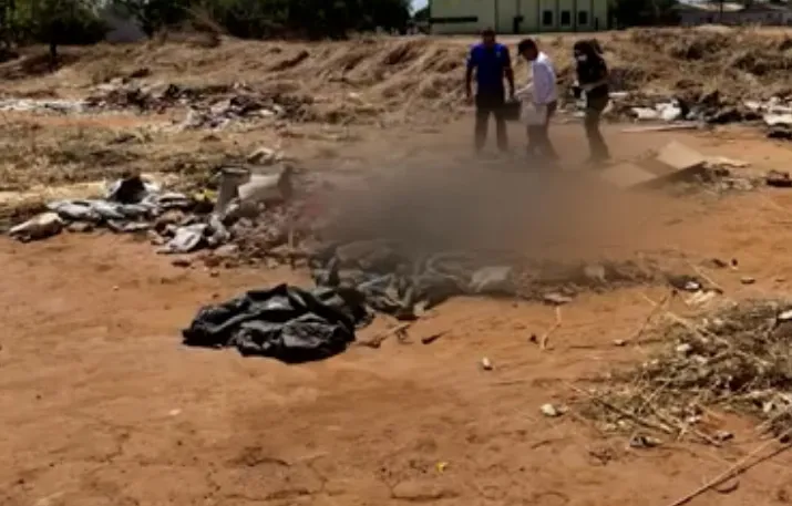 Corpo esquartejado é encontrado dentro de três sacos em área de mata em Palmas
