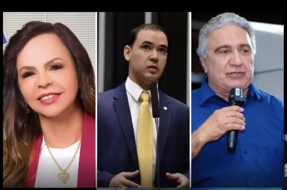 Quaest: Professora Dorinha lidera disputa pelo Governo do Tocantins com 37%
