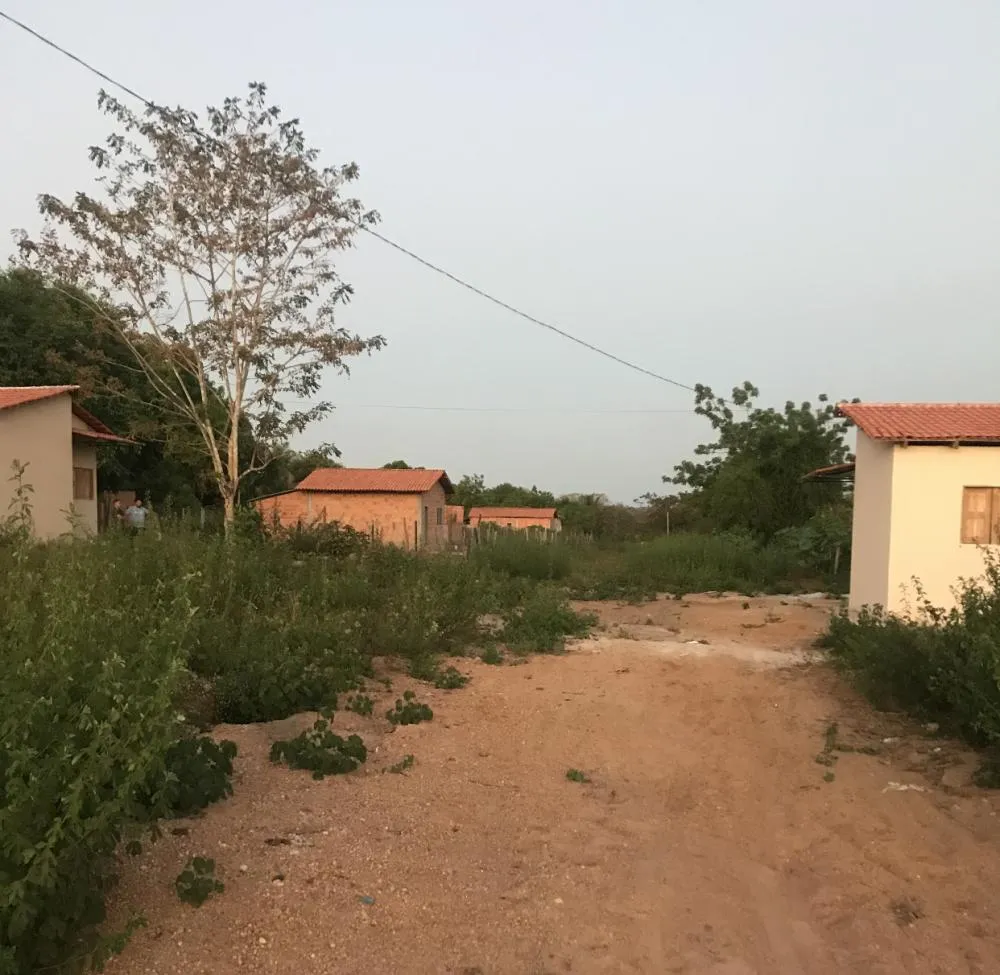Foto divulgação 